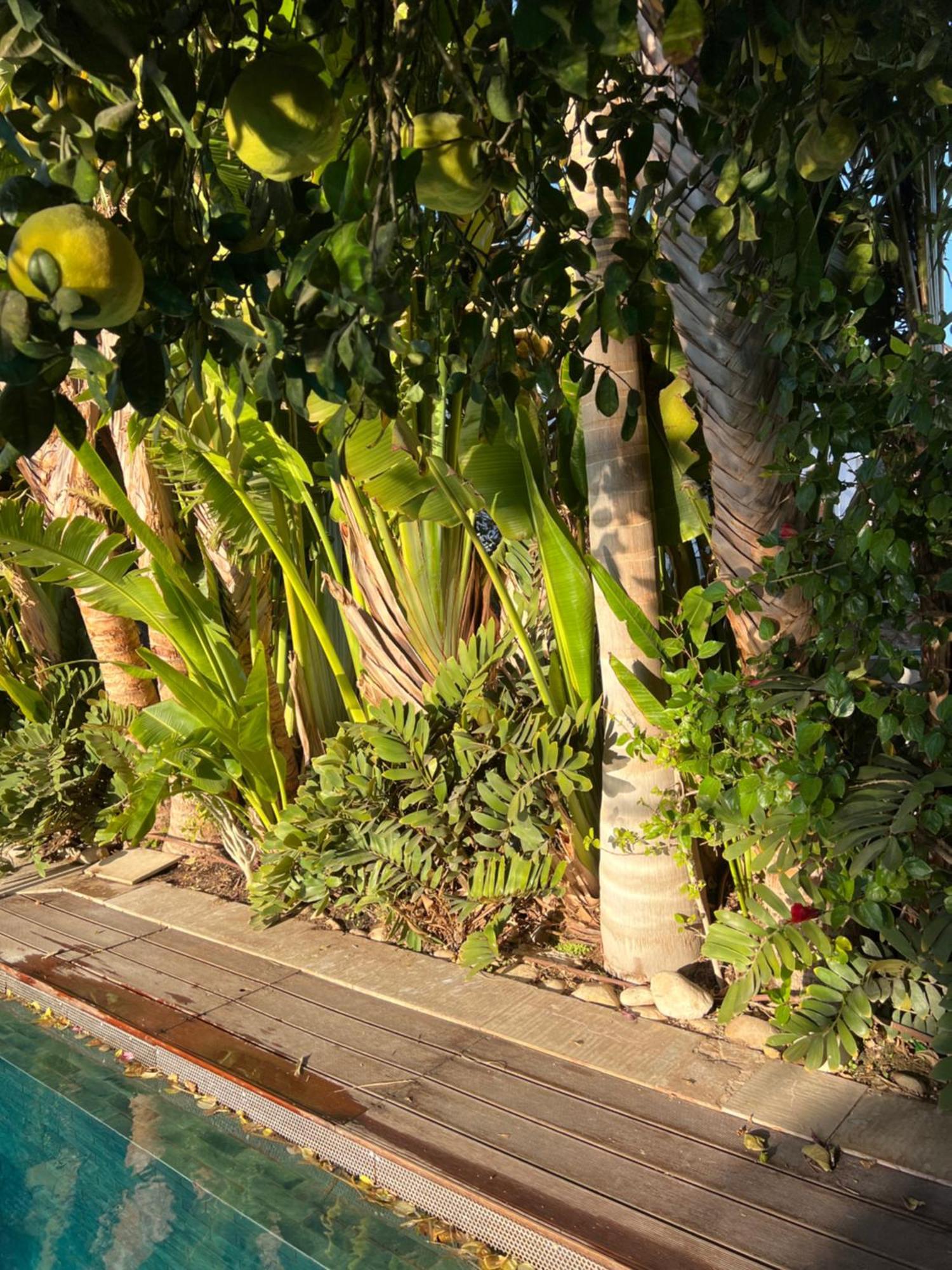 Villa Balfour Eilat